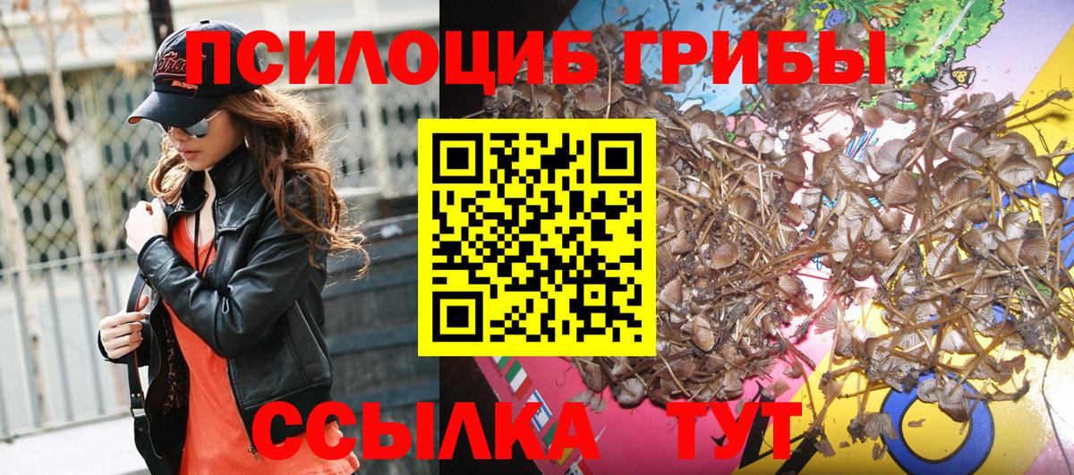 Псилоцибиновые грибы Magic Shrooms Алатырь