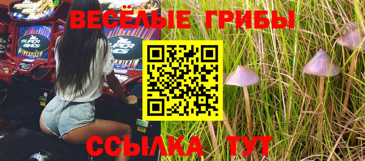 Алатырь  где купить наркотик  Вход с VPN  Галлюциногенные грибы GOLDEN TEACHER 